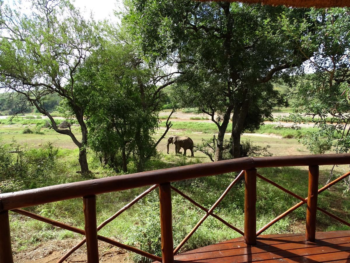 Emhosheni River Lodge Balule Game Reserve Eksteriør billede