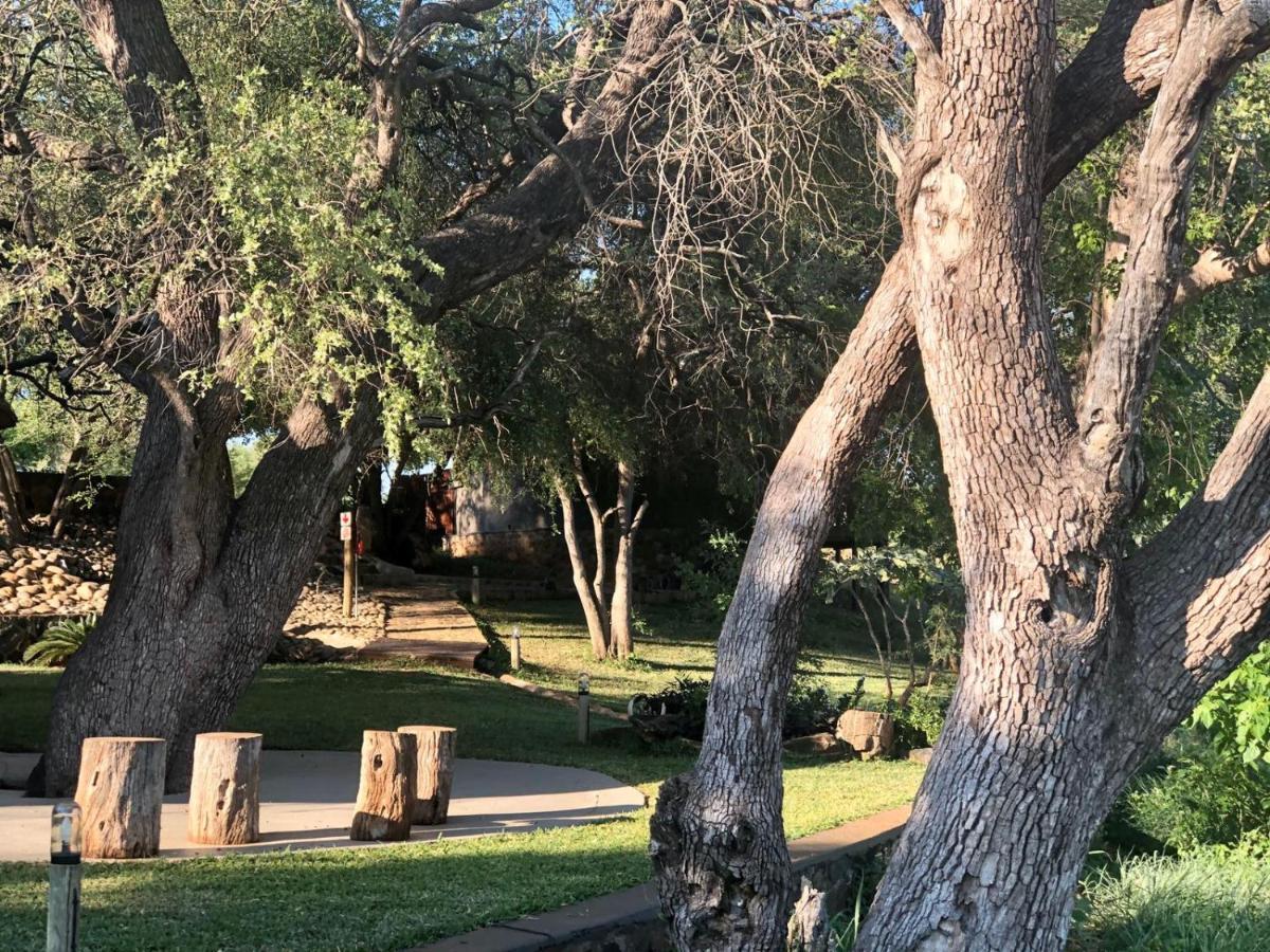 Emhosheni River Lodge Balule Game Reserve Eksteriør billede