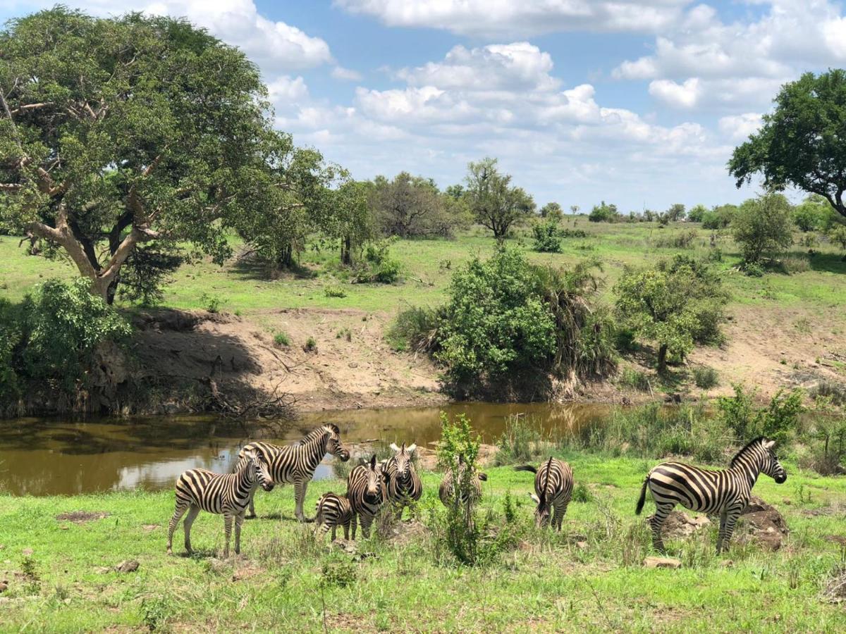 Emhosheni River Lodge Balule Game Reserve Eksteriør billede